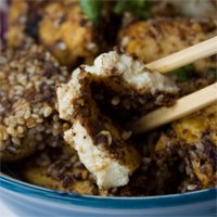 sesame_peanut_crusted_tofu