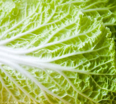 napa_cabbage_leaves