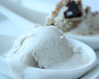 stogo_ice_cream_vanilla_bean