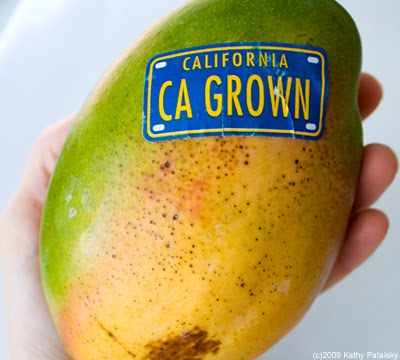 california-mango