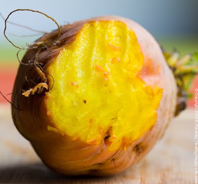 inside-golden-beet