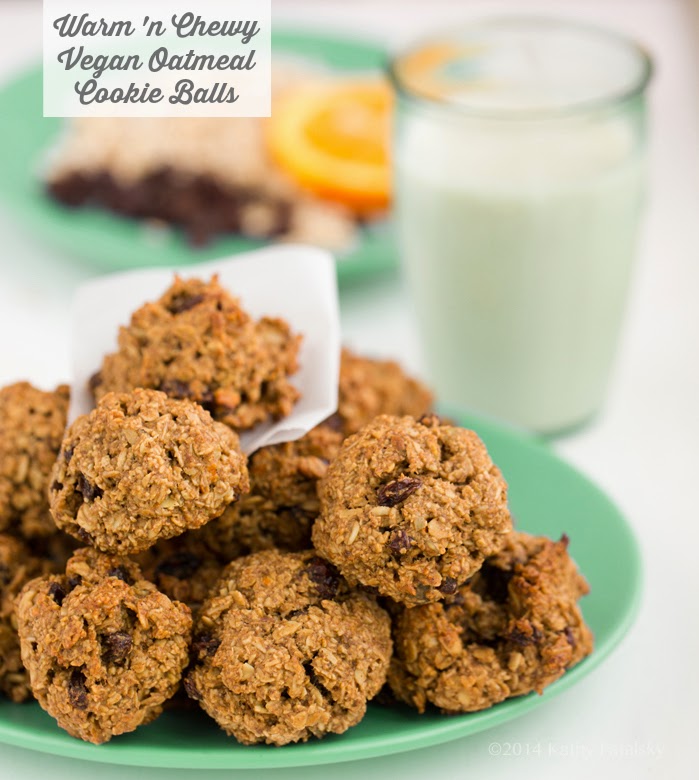 oatmeal cookie balls vegan oatmeal cookie balls