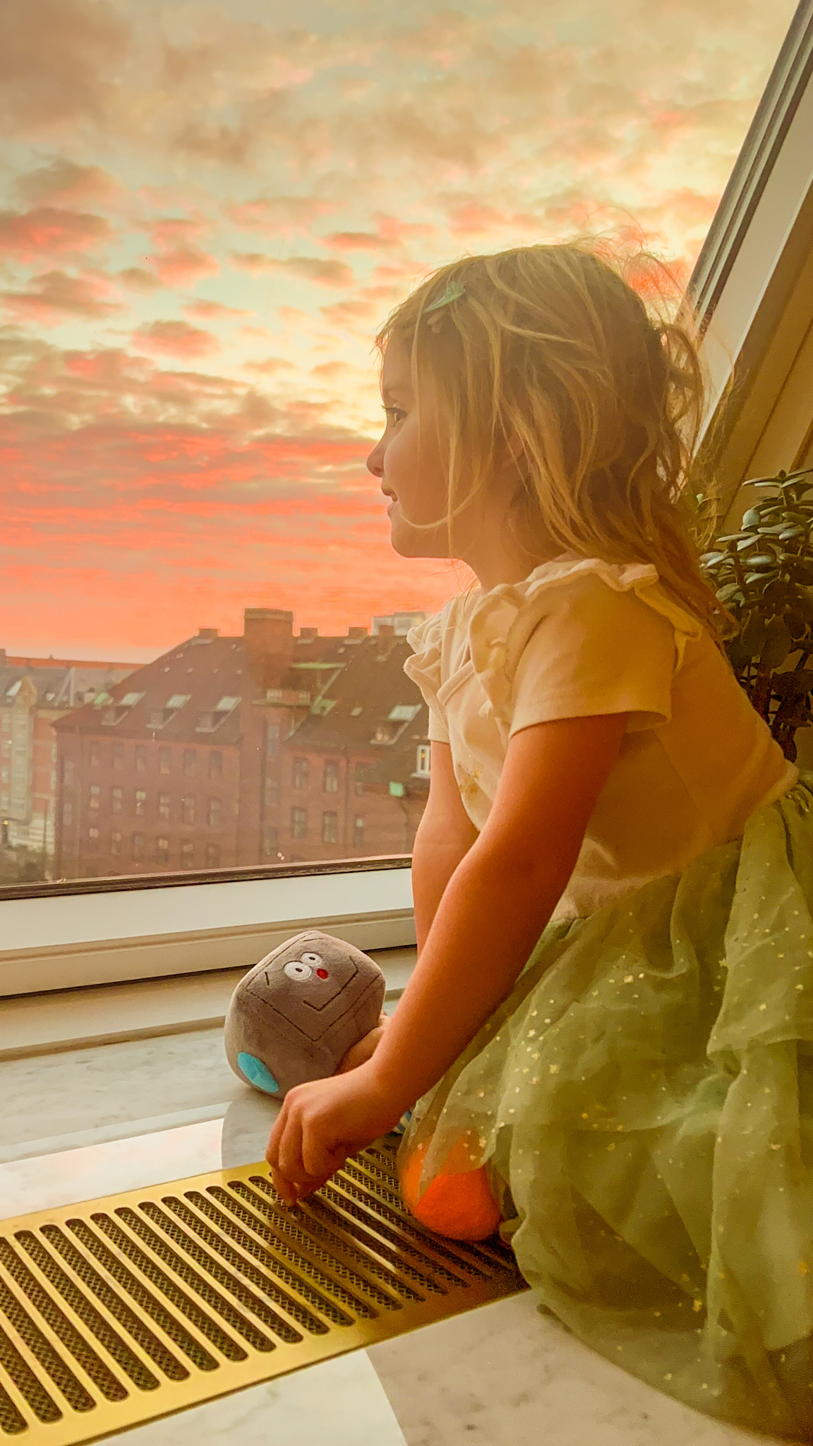 villa copenhagen window view