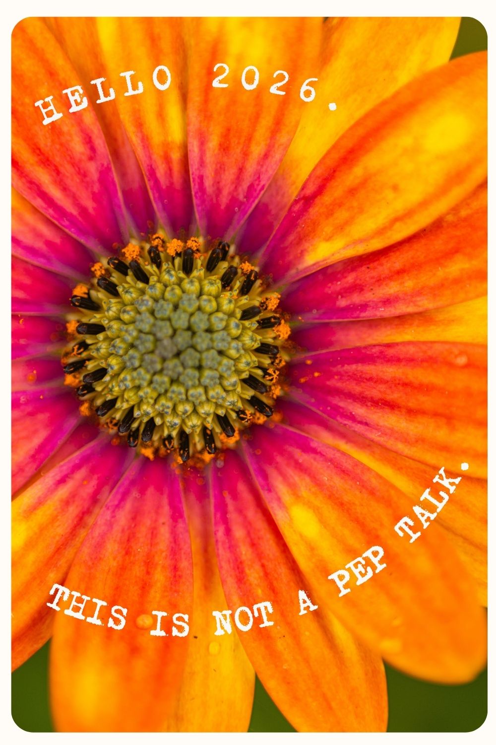 flower and 2026 pep talk text